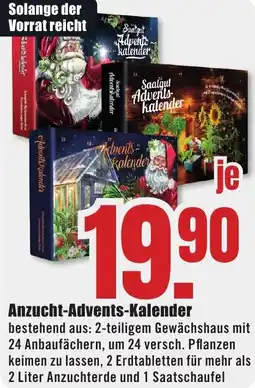 B1 Discount Baumarkt Anzucht-Advents-Kalender Angebot