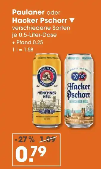 V Markt Paulaner münchner hell Angebot