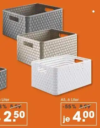 V Markt Aufbewahrungsbox Angebot