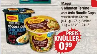 V Markt Maggi 5 minuten terrine Angebot