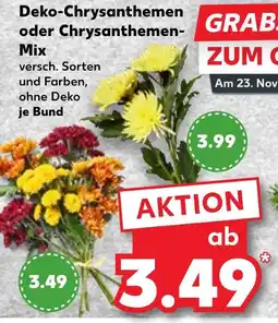 Kaufland Deko-chrysanthemen Angebot