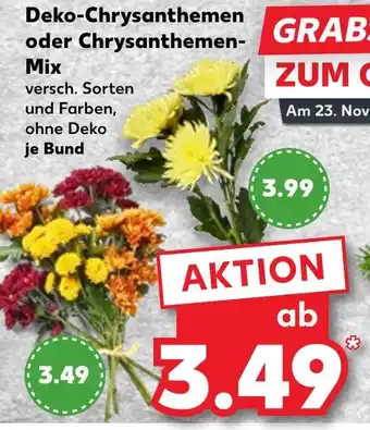 Kaufland Deko-chrysanthemen Angebot