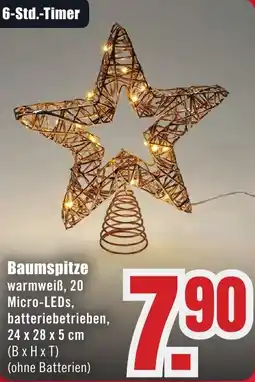 B1 Discount Baumarkt Baumspitze Angebot