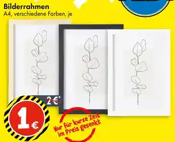 TEDi Bilderrahmen Angebot