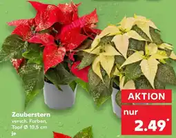 Kaufland Zauberstern Angebot