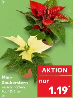 Kaufland Mini Zauberstern Angebot