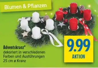 diska Adventskranz Angebot