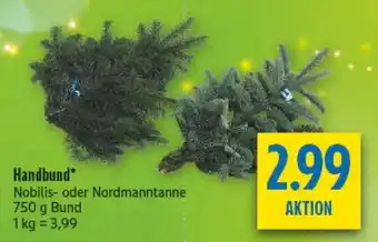 diska Handbund Angebot