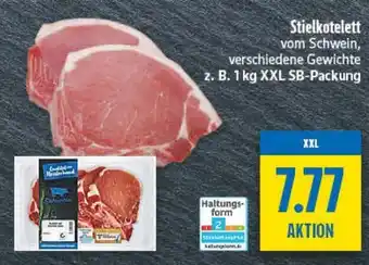 diska Stielkotelett Angebot
