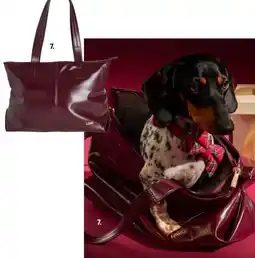 Galeria L.Credi City Shopper Angebot