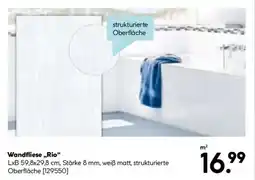 Hellweg Wandfliese „Rio“ Angebot