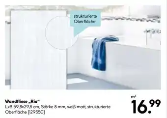 Hellweg Wandfliese „Rio“ Angebot