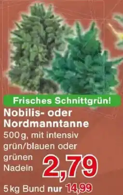Jawoll Nobilis- oder Nordmanntanne Angebot