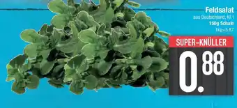 E-Center Feldsalat Angebot