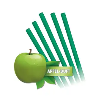 Netto Marken-Discount EASYmaxx Abflussreiniger-Stick Apfel 50er-Set grün Angebot