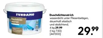 Hellweg FUNDAMO Duschdichtanstrich Angebot