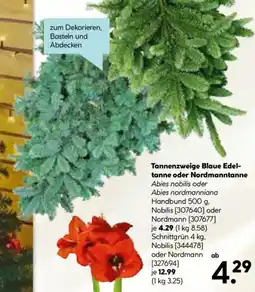 Hellweg Tannenzweige Blaue Edeltanne oder Nordmanntanne Angebot