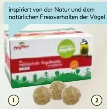 Hellweg Insektenfettknödel Angebot