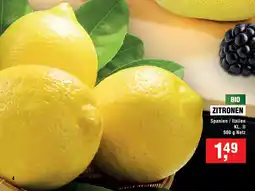 Handelshof BIO ZITRONEN Angebot