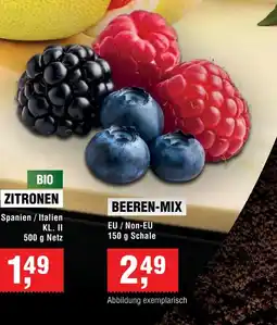Handelshof BEEREN-MIX Angebot