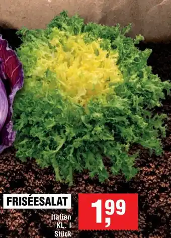 Handelshof FRISÉESALAT Angebot
