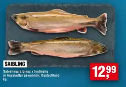 Handelshof SAIBLING Angebot