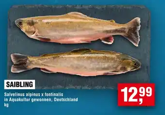 Handelshof SAIBLING Angebot