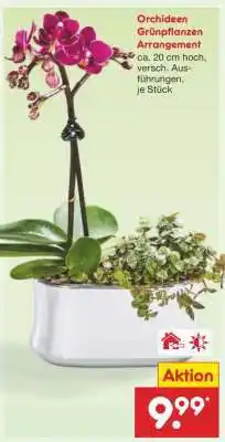 Netto Marken-Discount Orchideen Grünpflanzen Arrangement Angebot