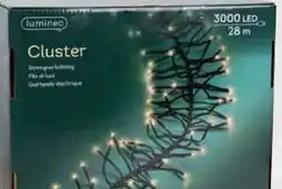 Pflanzen Kölle Lumineo LED Gruppenbeleuchtung Angebot