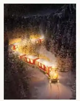 Pflanzen Kölle LED Bild Beleuchteter Zug Angebot