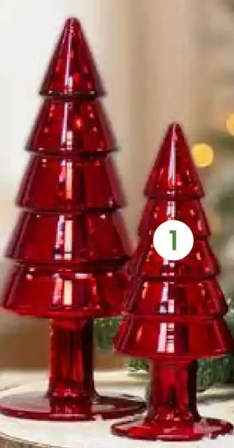 Pflanzen Kölle Glasflasche Tannenbaum Angebot