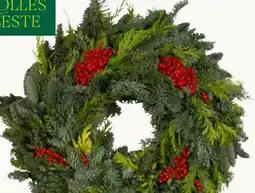 Pflanzen Kölle Kölle's Beste Premium Mix-Kranz Angebot