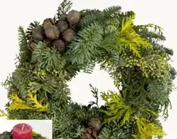 Pflanzen Kölle Stumpenkranz Angebot