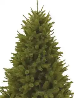 Pflanzen Kölle Kunst-Tanne Forest Frosted Pine Angebot