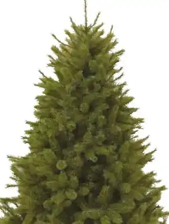 Pflanzen Kölle Kunst-Tanne Forest Frosted Pine Angebot