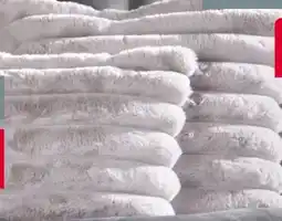 Woolworth Dekokissen Angebot