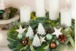 Pflanzen Kölle Gestecke zur Adventszeit Angebot