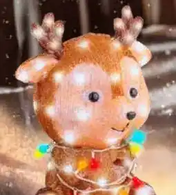 Pflanzen Kölle LED Rentier-Figur Angebot