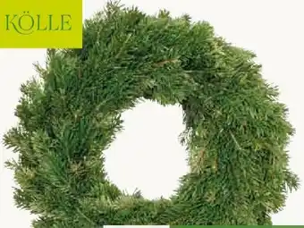 Pflanzen Kölle Kölle Nordmannkranz Angebot