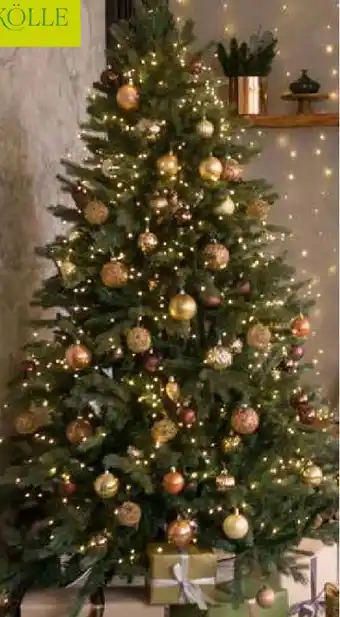 Pflanzen Kölle Kölle LED Compact Lights Angebot