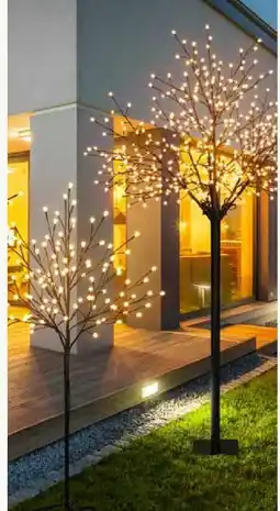 Pflanzen Kölle LED Baum Angebot