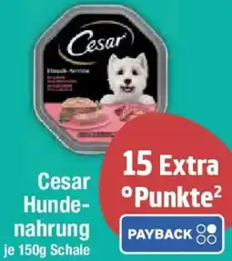 E-Center Cesar Hundenahrung Angebot