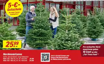 toom Baumarkt Nordmanntanne Angebot