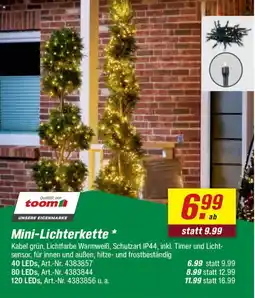 toom Baumarkt Mini-Lichterkette Angebot