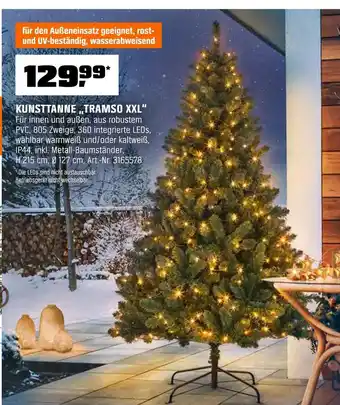 OBI Kunsttanne tramso xxl Angebot