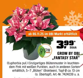 OBI Grow by obi fantasy star Angebot
