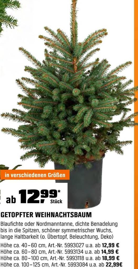 knstlicher weihnachtsbaum verstauen Knstlichen Weihnachts-/Tannenbaum online kaufen bei FLORADE  Florade.de