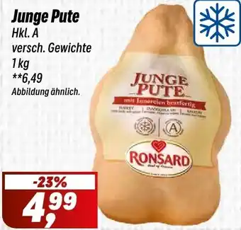 Simmel Junge Pute Angebot
