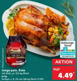 Kaufland Junge poln. Ente Angebot