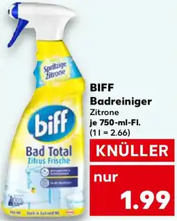 Kaufland BIFF Badreiniger Angebot